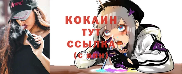 твердый Михайловка