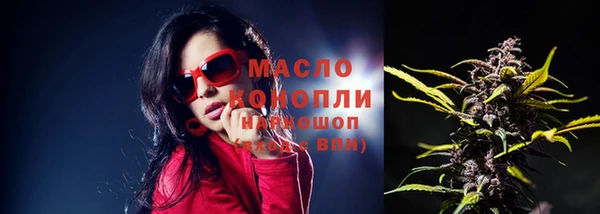 твердый Михайловка